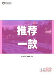 推荐一款“阳光巴厘岛可以开挂吗”(透视挂)辅助透视教程
