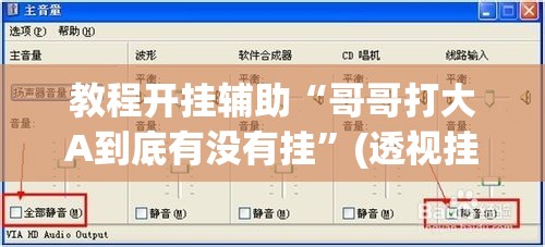 教程开挂辅助“哥哥打大A到底有没有挂”(透视挂)辅助透视教程