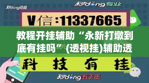 教程开挂辅助“永新打墩到底有挂吗	”(透视挂)辅助透视教程