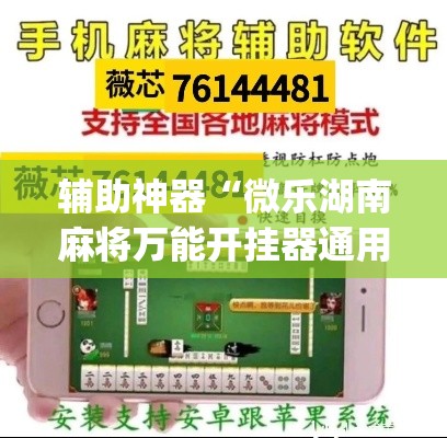 辅助神器“微乐湖南麻将万能开挂器通用版	”(透视挂)辅助透视教程