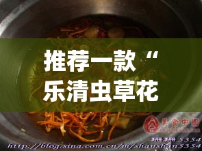 推荐一款“乐清虫草花有没有挂”(透视挂)辅助透视教程