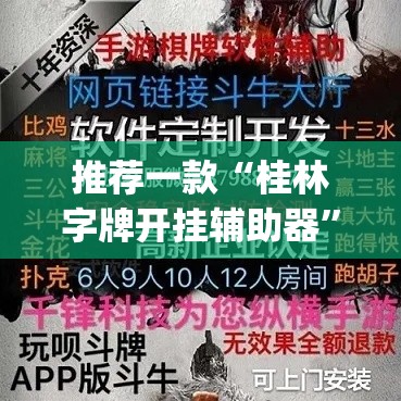 推荐一款“桂林字牌开挂辅助器	”(透视挂)辅助透视教程