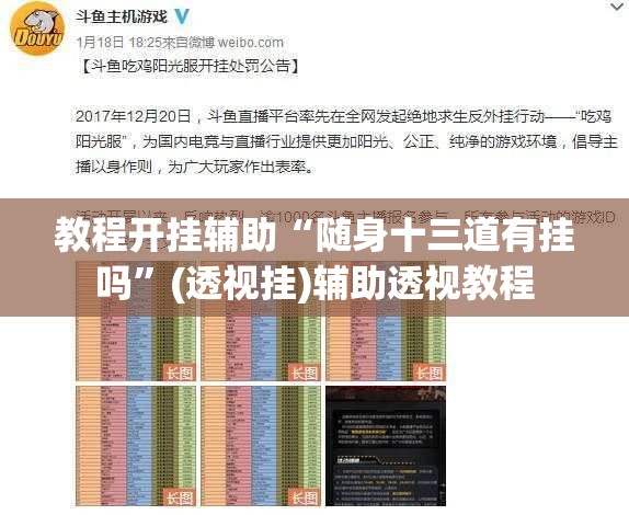 教程开挂辅助“随身十三道有挂吗”(透视挂)辅助透视教程