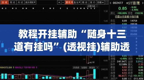 教程开挂辅助“随身十三道有挂吗”(透视挂)辅助透视教程
