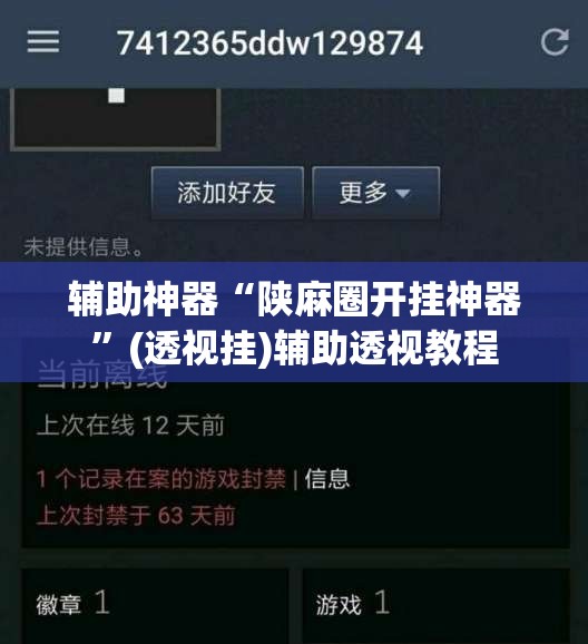 辅助神器“陕麻圈开挂神器”(透视挂)辅助透视教程