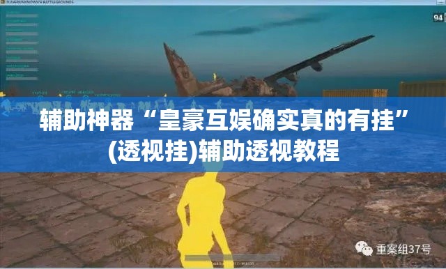 辅助神器“皇豪互娱确实真的有挂”(透视挂)辅助透视教程