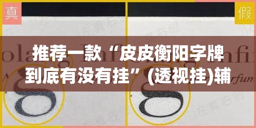 推荐一款“皮皮衡阳字牌到底有没有挂”(透视挂)辅助透视教程