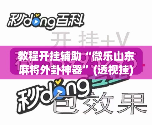 教程开挂辅助“微乐山东麻将外卦神器	”(透视挂)辅助透视教程