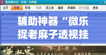 辅助神器“微乐捉老麻子透视挂”(透视挂)辅助透视教程