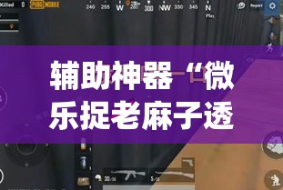辅助神器“微乐捉老麻子透视挂”(透视挂)辅助透视教程