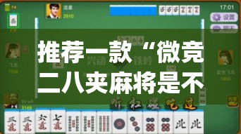 推荐一款“微竞二八夹麻将是不是有挂”(透视挂)辅助透视教程