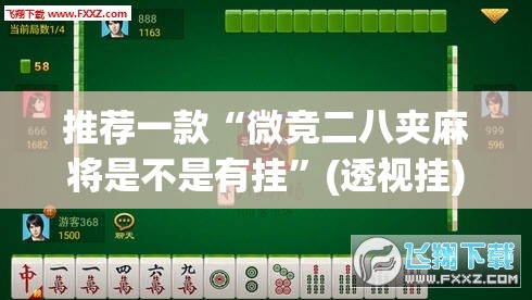 推荐一款“微竞二八夹麻将是不是有挂”(透视挂)辅助透视教程