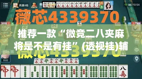 推荐一款“微竞二八夹麻将是不是有挂”(透视挂)辅助透视教程