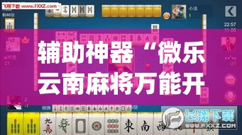 辅助神器“微乐云南麻将万能开挂器	”(透视挂)辅助透视教程