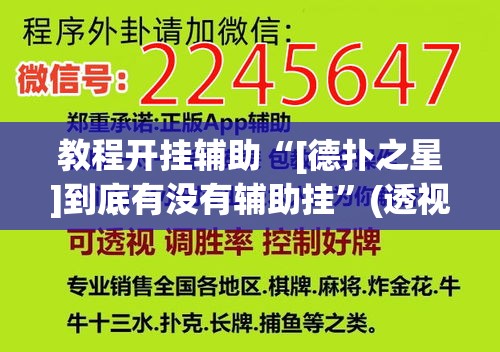 教程开挂辅助“[德扑之星]到底有没有辅助挂	”(透视挂)辅助透视教程
