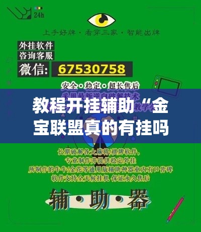 教程开挂辅助“金宝联盟真的有挂吗”(透视挂)辅助透视教程