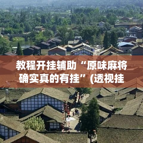 教程开挂辅助“原味麻将确实真的有挂”(透视挂)辅助透视教程