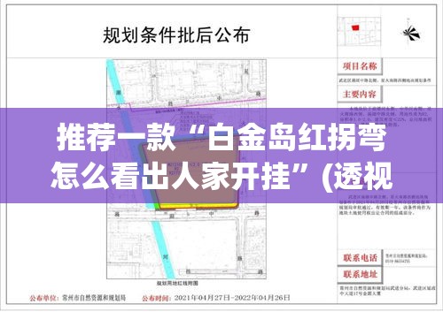 推荐一款“白金岛红拐弯怎么看出人家开挂	”(透视挂)辅助透视教程