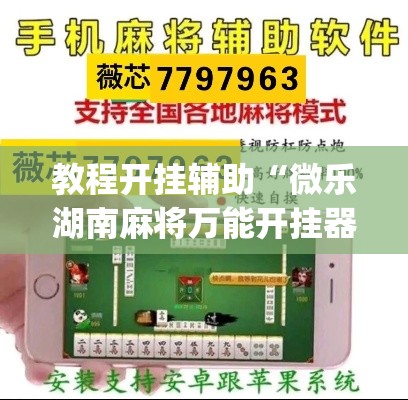 教程开挂辅助“微乐湖南麻将万能开挂器免费	”(透视挂)辅助透视教程