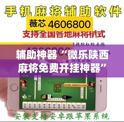 辅助神器“微乐陕西麻将免费开挂神器”(透视挂)辅助透视教程