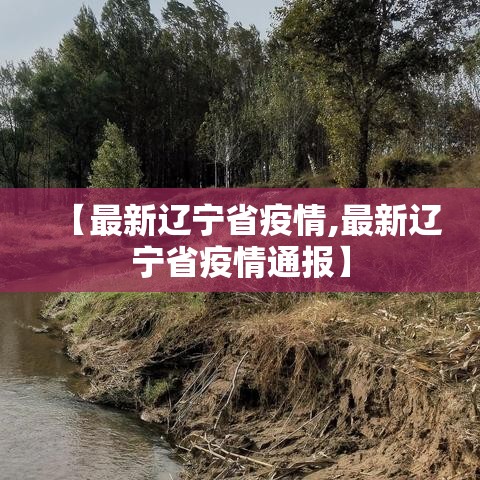 【最新辽宁省疫情,最新辽宁省疫情通报】