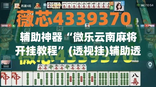 辅助神器“微乐云南麻将开挂教程	”(透视挂)辅助透视教程