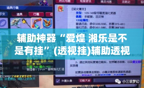 辅助神器“爱煌 湘乐是不是有挂”(透视挂)辅助透视教程