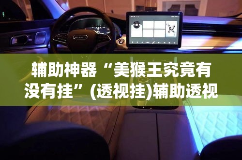 辅助神器“美猴王究竟有没有挂”(透视挂)辅助透视教程