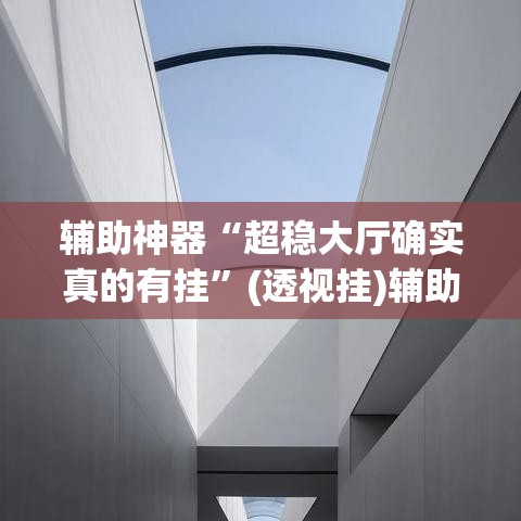 辅助神器“超稳大厅确实真的有挂”(透视挂)辅助透视教程
