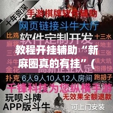 教程开挂辅助“新麻圈真的有挂”(透视挂)辅助透视教程
