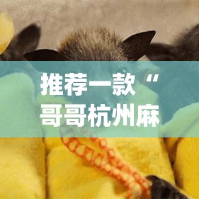推荐一款“哥哥杭州麻将软件开挂器”(透视挂)辅助透视教程