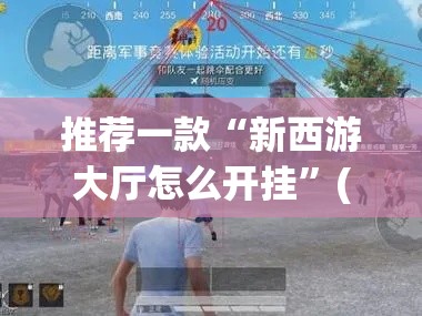 推荐一款“新西游大厅怎么开挂”(透视挂)辅助透视教程