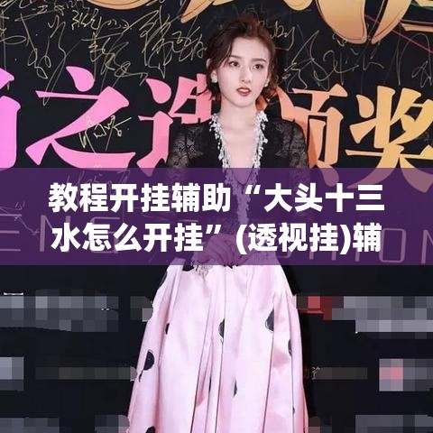 教程开挂辅助“大头十三水怎么开挂	”(透视挂)辅助透视教程
