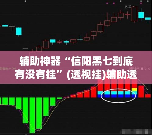 辅助神器“信阳黑七到底有没有挂	”(透视挂)辅助透视教程