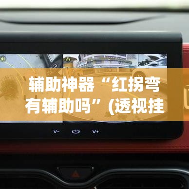 辅助神器“红拐弯有辅助吗”(透视挂)辅助透视教程