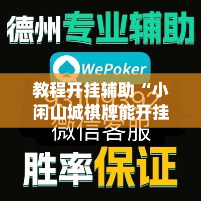 教程开挂辅助“小闲山城棋牌能开挂吗	”(透视挂)辅助透视教程
