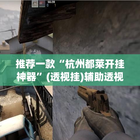 推荐一款“杭州都莱开挂神器	”(透视挂)辅助透视教程