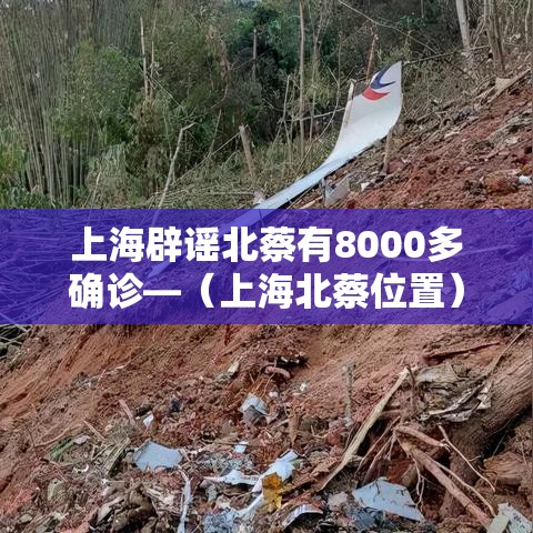 上海辟谣北蔡有8000多确诊—(上海北蔡位置) 上海辟谣北蔡有8000多确诊—(上海北蔡位置)