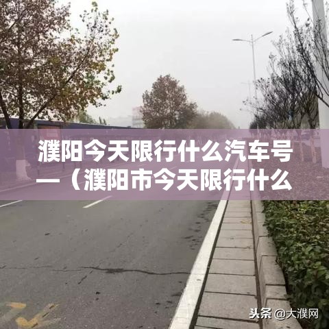 濮阳今天限行什么汽车号—(濮阳市今天限行什么号) 濮阳今天限行什么汽车号—(濮阳市今天限行什么号)