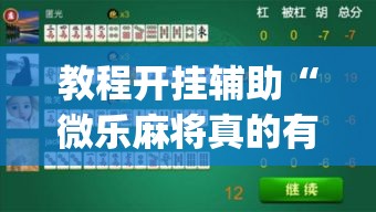 教程开挂辅助“微乐麻将真的有挂吗”(透视挂)辅助透视教程