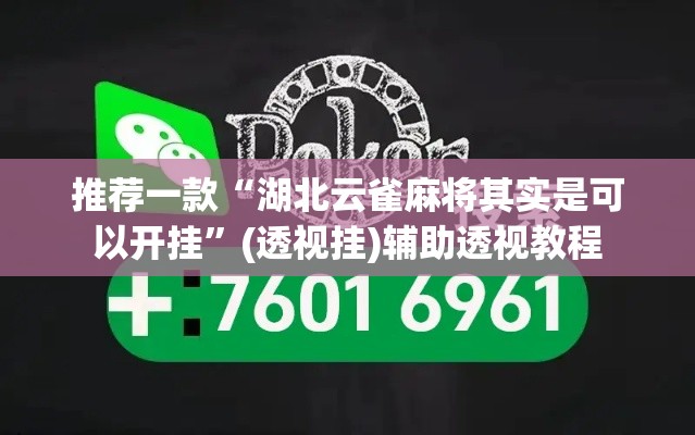 推荐一款“湖北云雀麻将其实是可以开挂”(透视挂)辅助透视教程