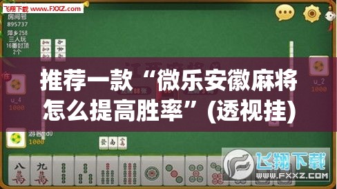 推荐一款“微乐安徽麻将怎么提高胜率”(透视挂)辅助透视教程