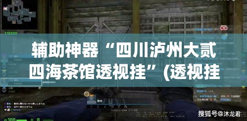 辅助神器“四川泸州大贰四海茶馆透视挂”(透视挂)辅助透视教程