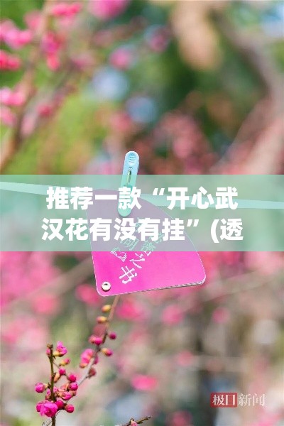 推荐一款“开心武汉花有没有挂	”(透视挂)辅助透视教程