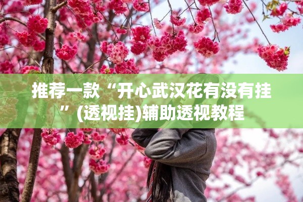推荐一款“开心武汉花有没有挂”(透视挂)辅助透视教程