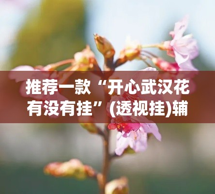 推荐一款“开心武汉花有没有挂”(透视挂)辅助透视教程