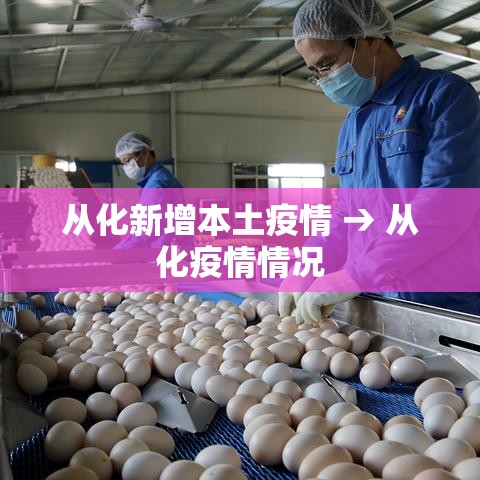 从化新增本土疫情 → 从化疫情情况
