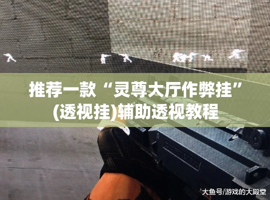 推荐一款“灵尊大厅作弊挂”(透视挂)辅助透视教程