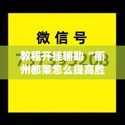 教程开挂辅助“衢州都莱怎么提高胜率”(透视挂)辅助透视教程