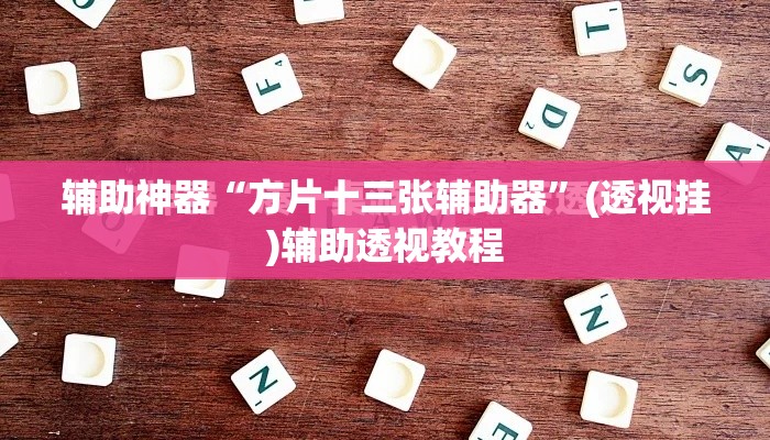 辅助神器“方片十三张辅助器”(透视挂)辅助透视教程